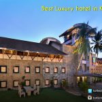 Turtle on the beach &#8211; Trivandrum
